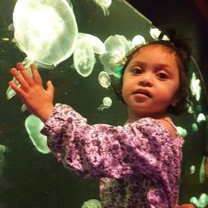 Meet your Posher, Sofia